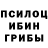 Галлюциногенные грибы Psilocybine cubensis Dmytro Piskunov