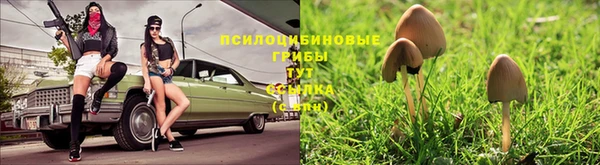 дистиллят марихуана Кукмор