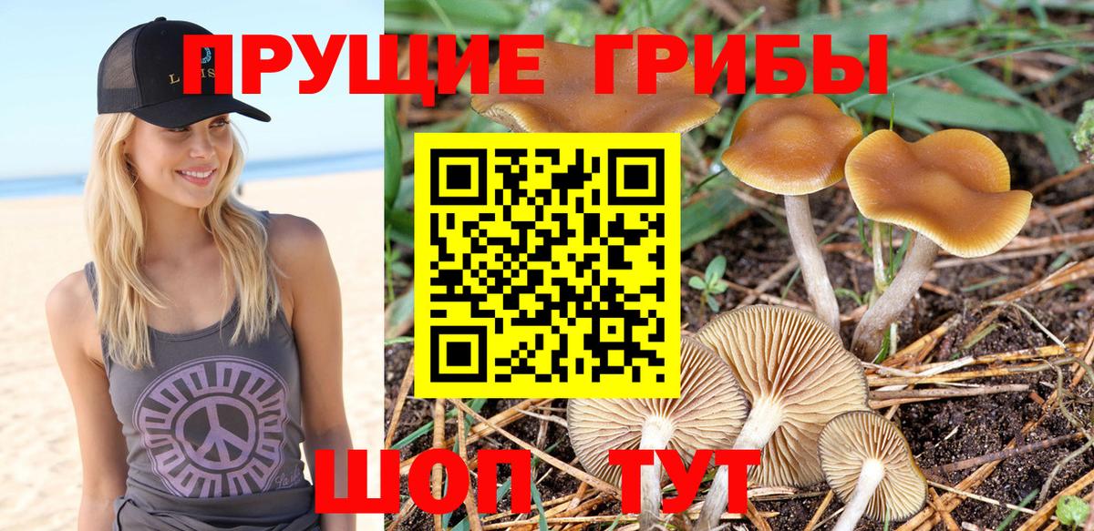 Галлюциногенные грибы Cubensis  Вход с VPN  Псилоцибиновые грибы мухоморы  Балаково 