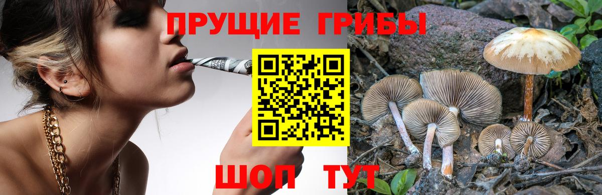 Псилоцибиновые грибы мицелий Балаково